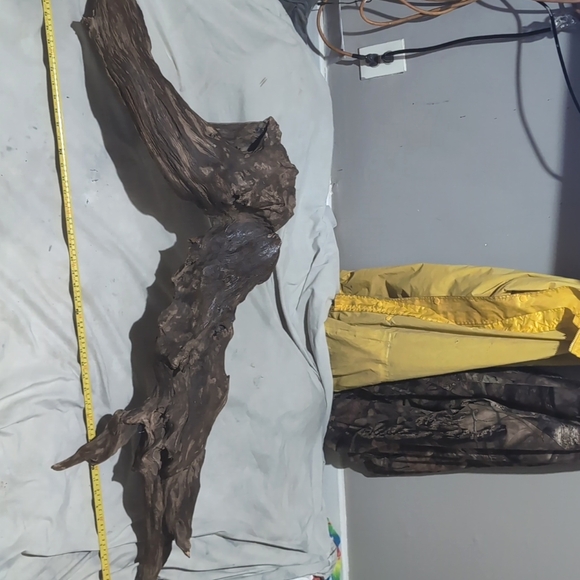 A beautiful, massive , extremely solid, one of a kind piece of drift wood . - Picture 1 of 5